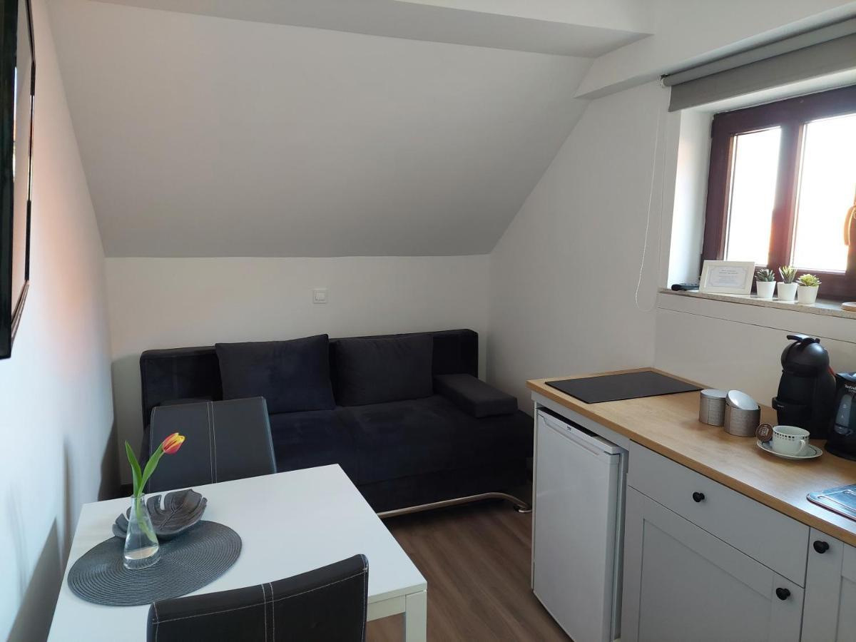 Apartment Trubarjeva33, Near Ljubljana, Free Parking Velike Lasce Esterno foto